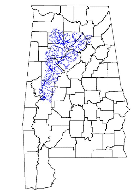 Black Warrior watershed in Alabama